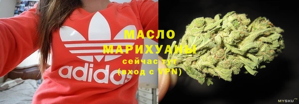 дмт Алексин