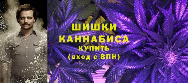 MESCALINE Аркадак