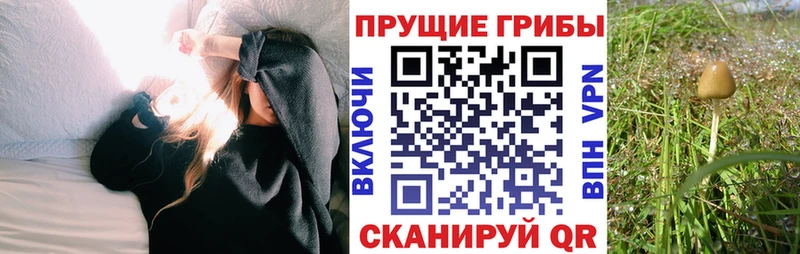 OMG сайт  Ивангород  Псилоцибиновые грибы ЛСД 